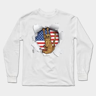 Funny Cat American Flag Cat Lover Gifts Long Sleeve T-Shirt